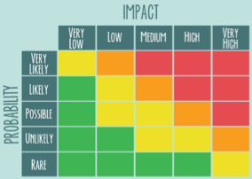 Qualitative Risk