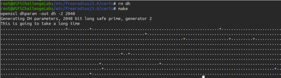 Creating the Diffie Hellman Key